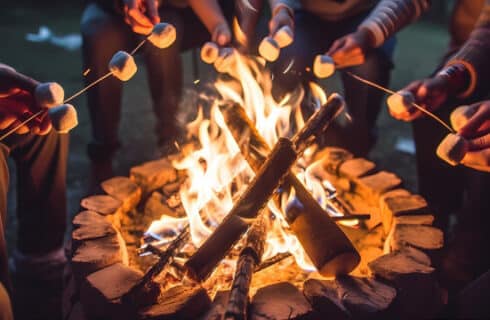 image of friends roasting marshmallows on campfire.